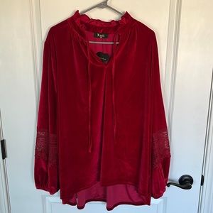 NWT Meritt Red Velvet Top.